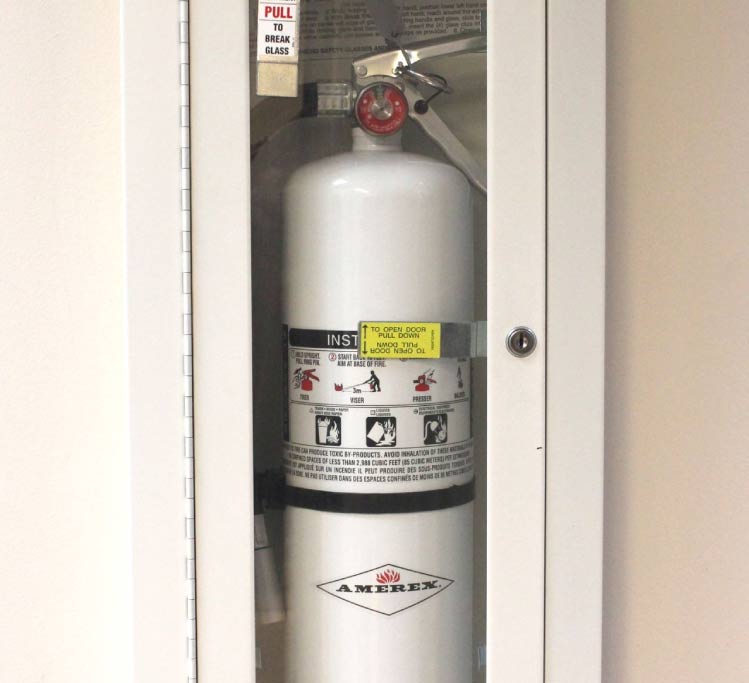 amerex Portable Fire Extinguisher